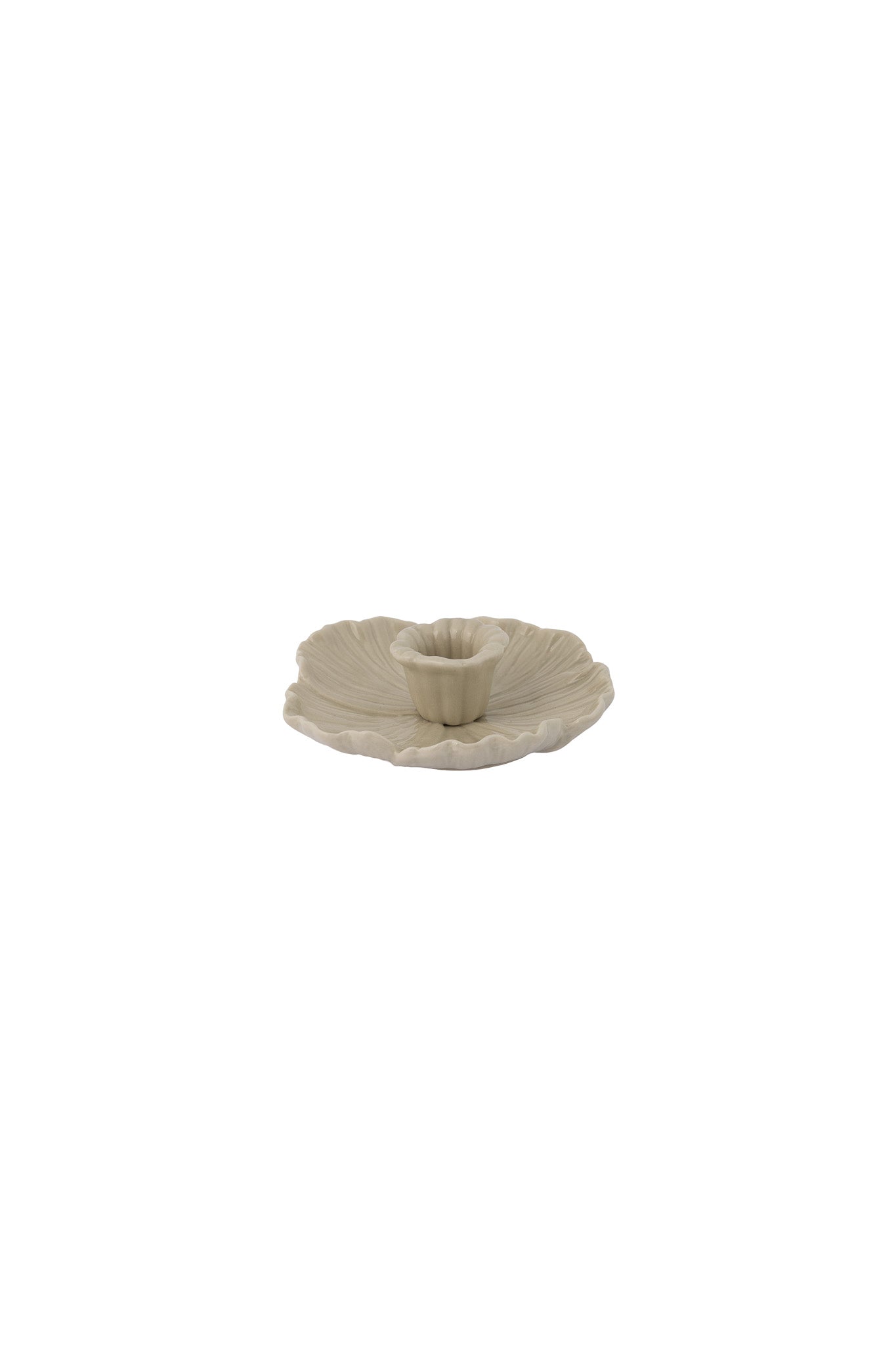 Botanik - Liten beige lysestake