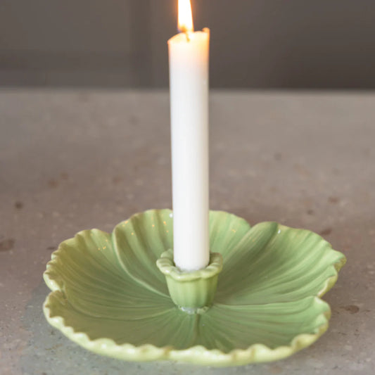 Botanik - Stor grønn lysestake