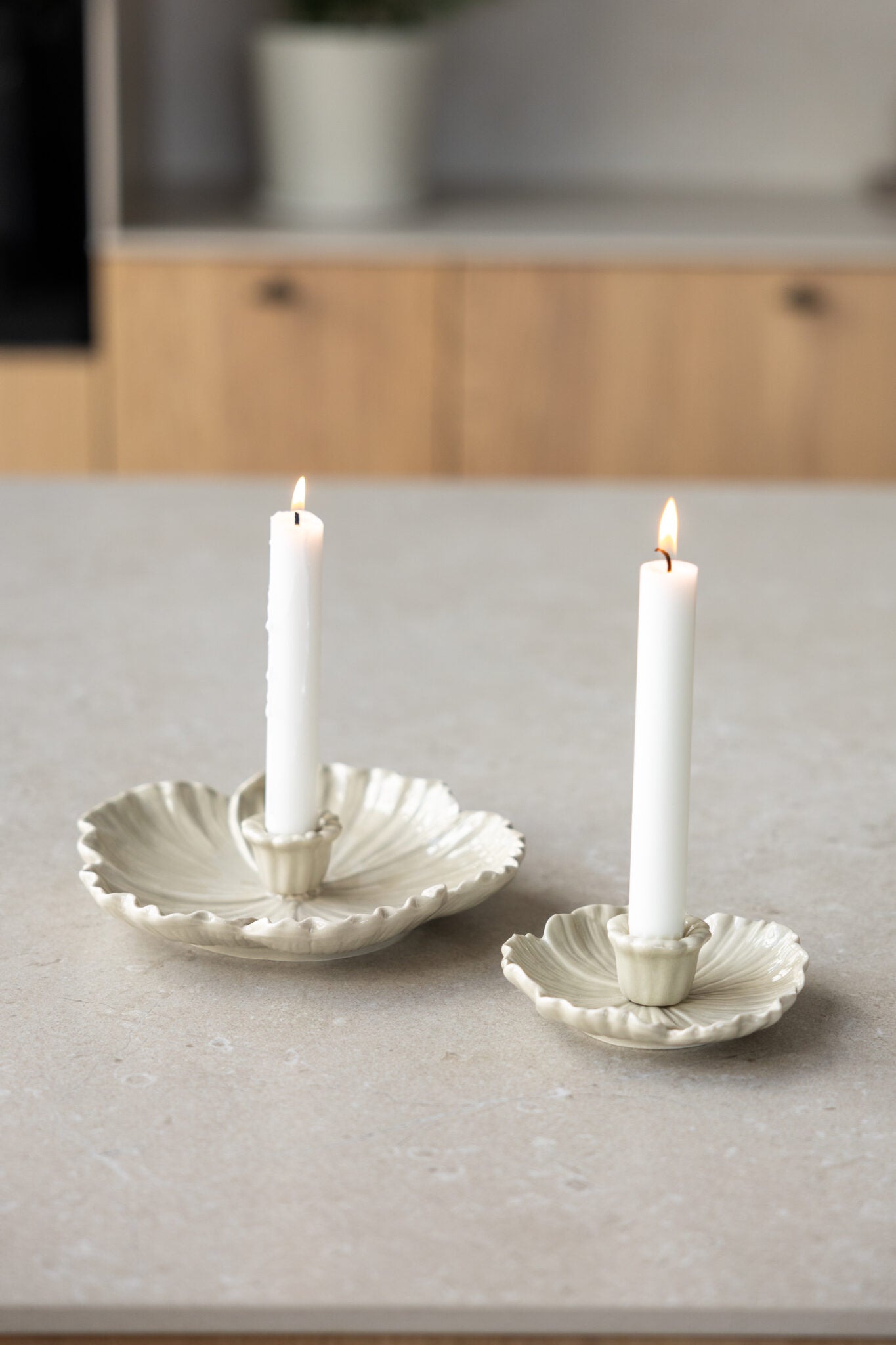 Botanik - Liten beige lysestake