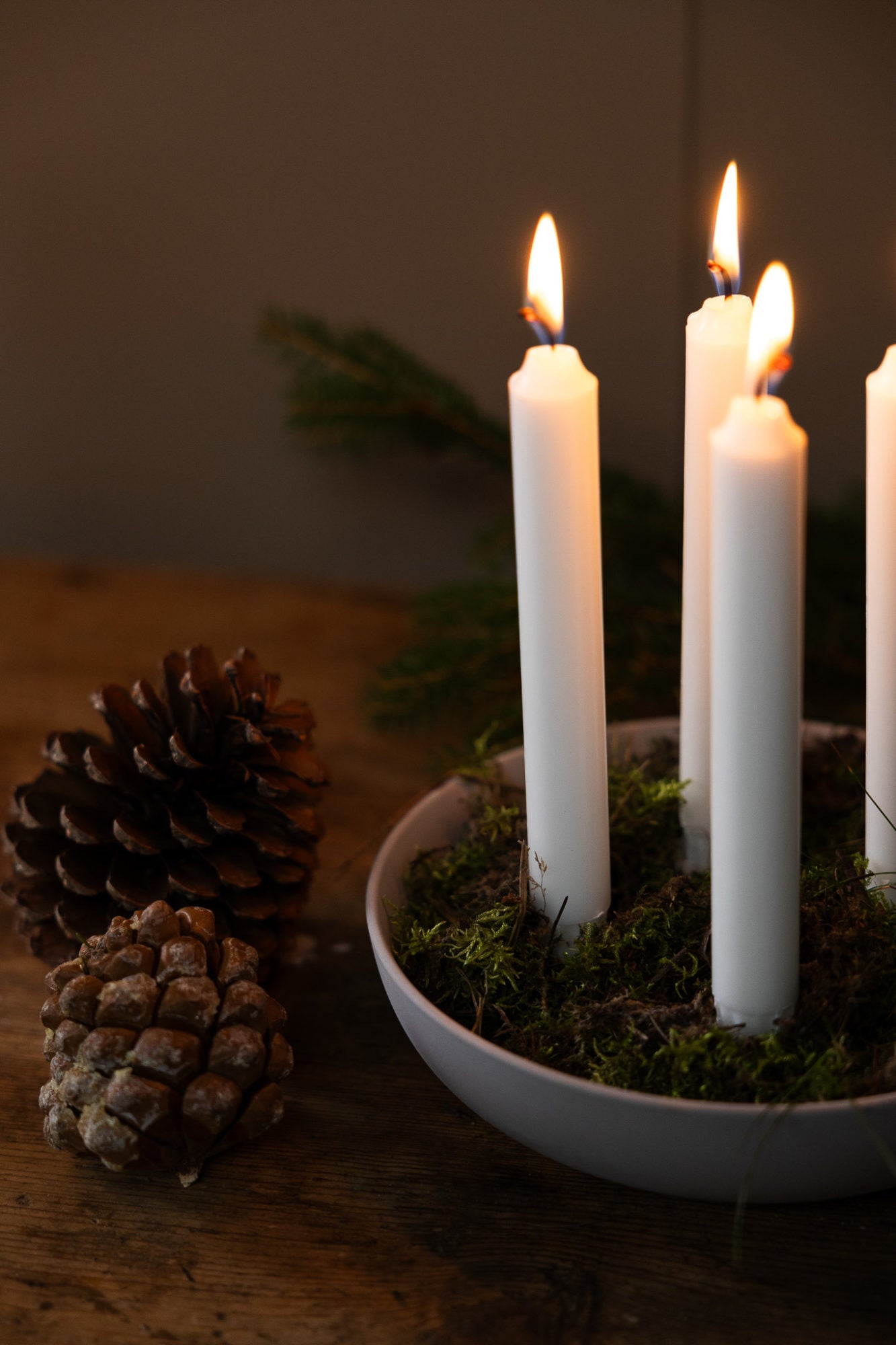 Granholmen adventsstake - Natur