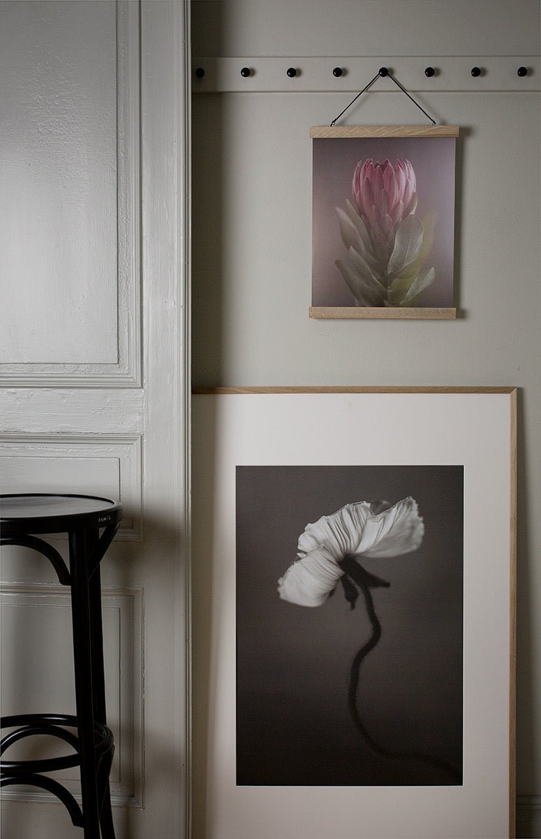 Papaver Plakat 50x70cm